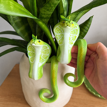 🌿Lime Cobra Plant Buddy