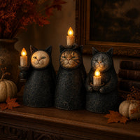 1 set (3PCS)